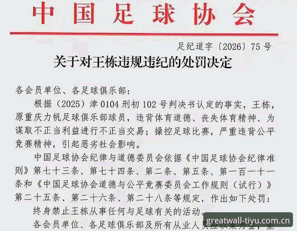 长城体育怎么登录 中国足协第三批禁足名单解读教程——从行业震荡看足球生态重塑